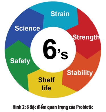 Tiêu chảy sau cai sữa, heo con, probiotic, Bacillus subtilis DSM 32540, sức khỏe đường ruột