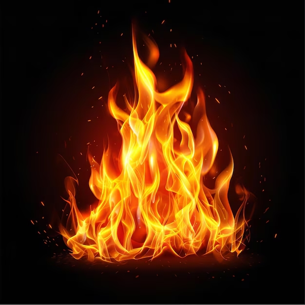 tử vi tuổi Tỵ ngày 26/11/2025, tuổi Tỵ hôm nay, con số may mắn tuổi Tỵ, tử vi 12 con giáp 26/11