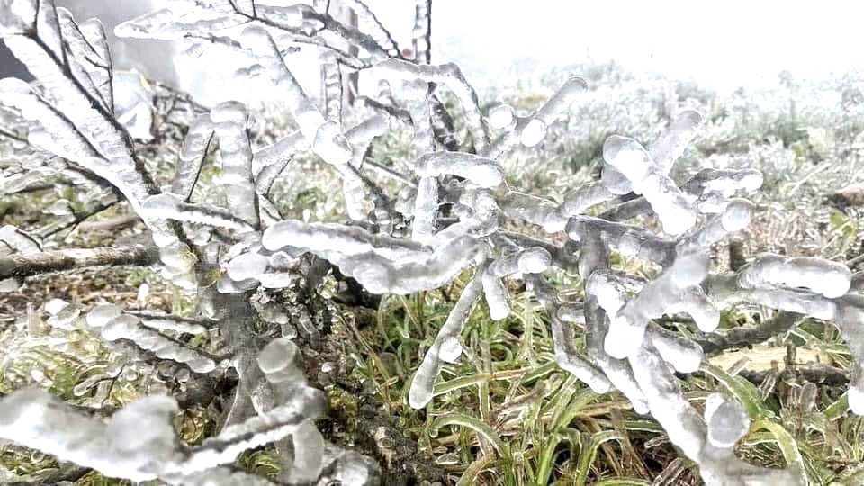 Con số may mắn tuổi Dần 26/11/202, tử vi tuổi Dần 26/11/2025, tuổi Dần hôm nay, phong thủy con số tuổi Dần, vận trình tuổi Dần