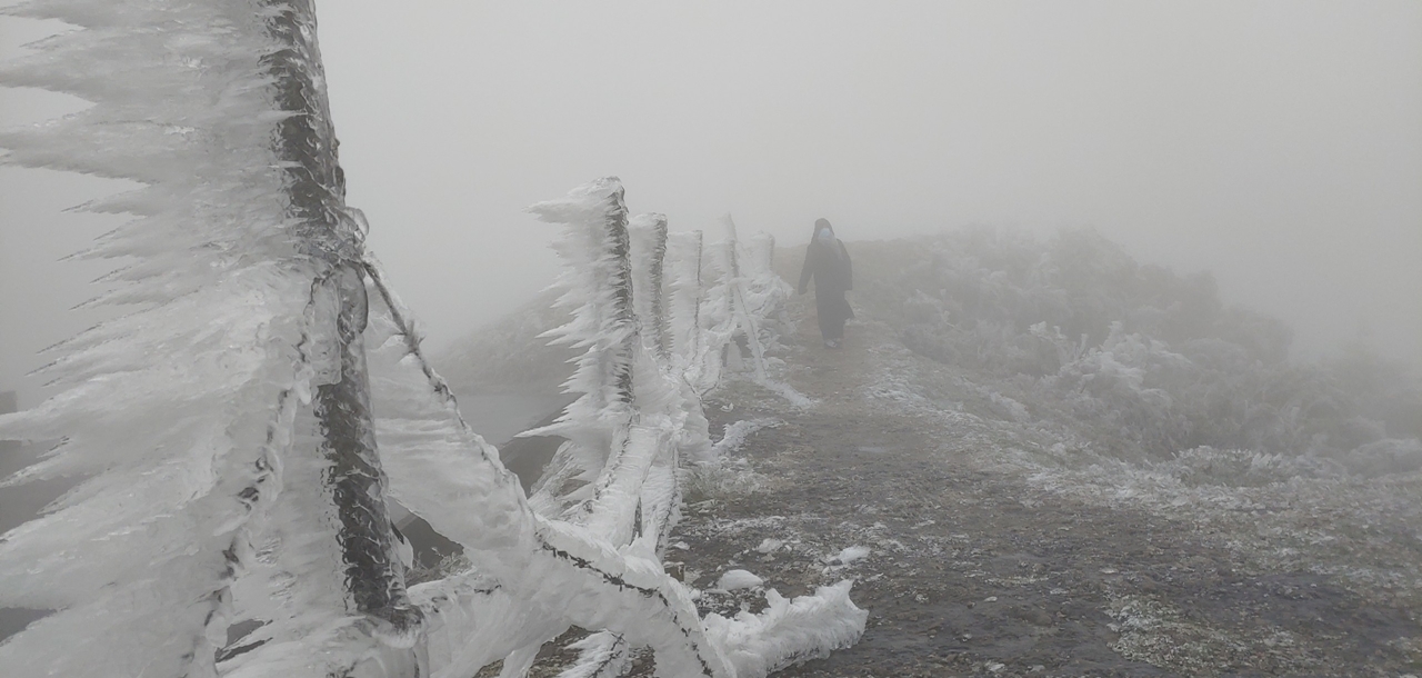 Con số may mắn tuổi Dần 26/11/202, tử vi tuổi Dần 26/11/2025, tuổi Dần hôm nay, phong thủy con số tuổi Dần, vận trình tuổi Dần