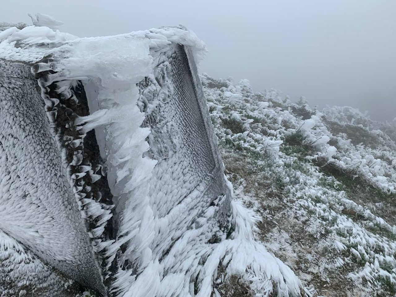 Con số may mắn tuổi Dần 26/11/202, tử vi tuổi Dần 26/11/2025, tuổi Dần hôm nay, phong thủy con số tuổi Dần, vận trình tuổi Dần