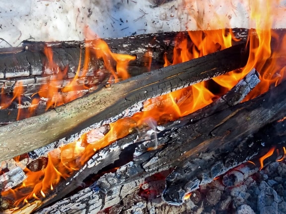 Tử vi Tuổi Tuất ngày 26/11/2025: Số vận đáng tin cho sự ổn định & phát triển