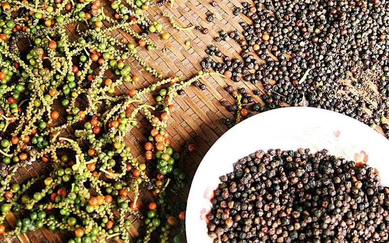 Giá tiêu hôm nay 25/11/2025, Giá tiêu 25/11, giá tiêu trong nước, giá tiêu Tây Nguyên, giá tiêu Đông Nam Bộ, thị trường hồ tiêu, nông dân giữ hàng