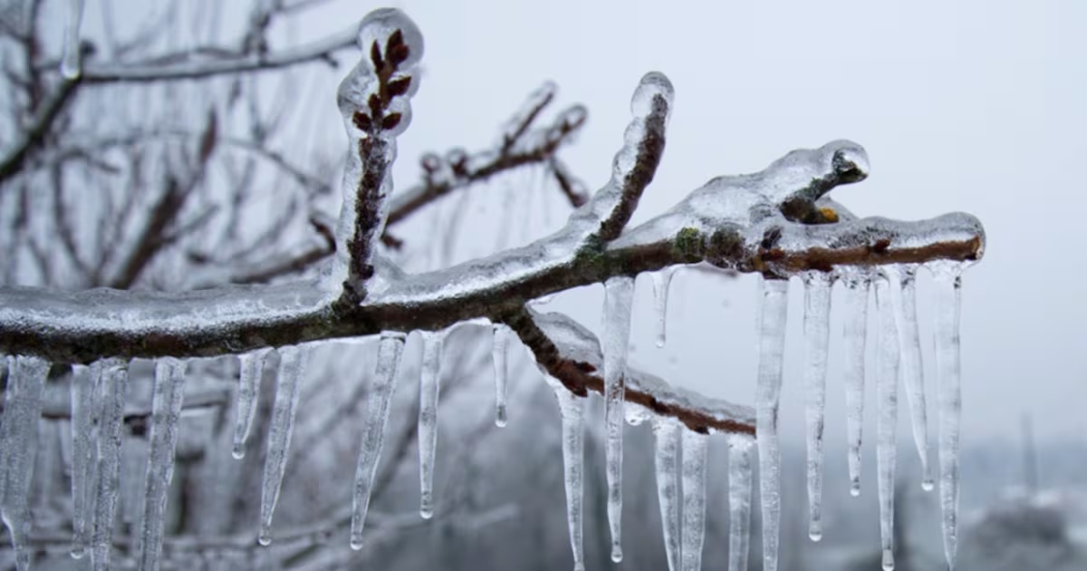 con số may mắn tuổi Mão 26/11/2025, tử vi tuổi Mão 26/11/2025, vận trình tuổi Mão hôm nay, phong thủy số tuổi Mão, tử vi hàng ngày 12 con giáp