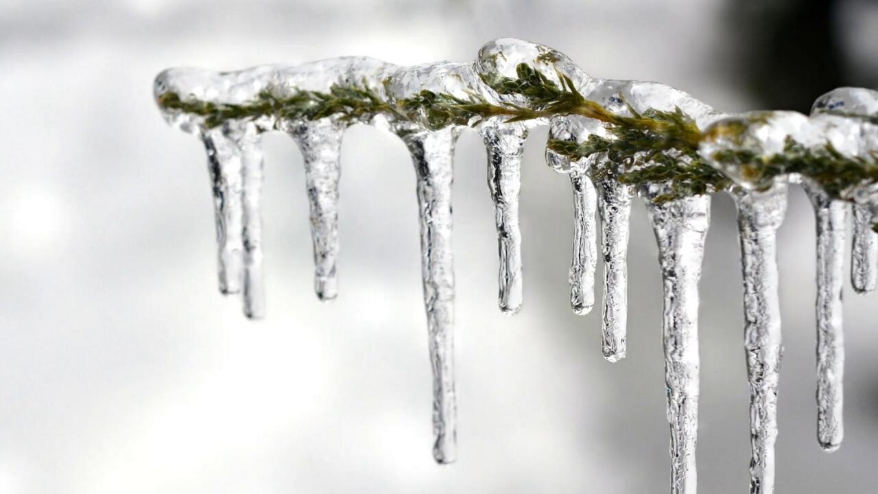 con số may mắn tuổi Mão 26/11/2025, tử vi tuổi Mão 26/11/2025, vận trình tuổi Mão hôm nay, phong thủy số tuổi Mão, tử vi hàng ngày 12 con giáp