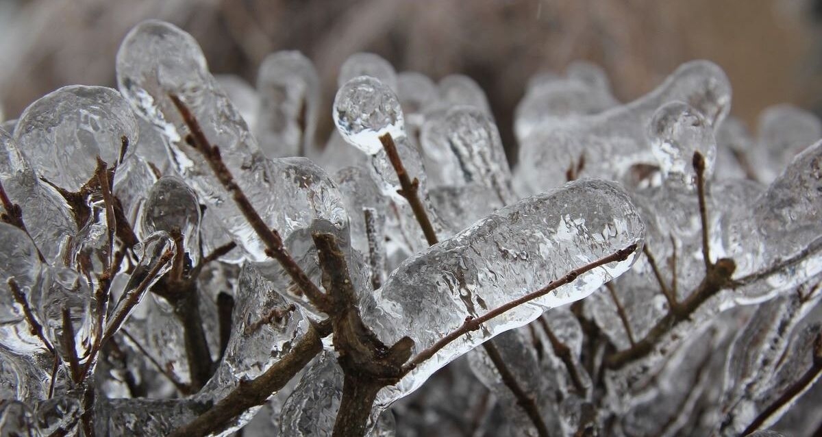 con số may mắn tuổi Mão 26/11/2025, tử vi tuổi Mão 26/11/2025, vận trình tuổi Mão hôm nay, phong thủy số tuổi Mão, tử vi hàng ngày 12 con giáp