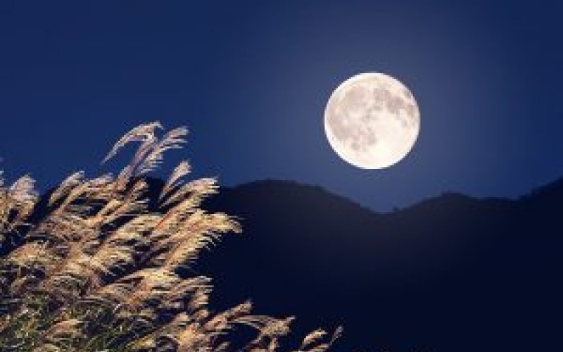 Tử vi 12 con giáp 27/11/2025, tử vi hôm nay, tử vi tuổi Ngọ, tử vi tuổi Mùi, dự báo 12 con giáp