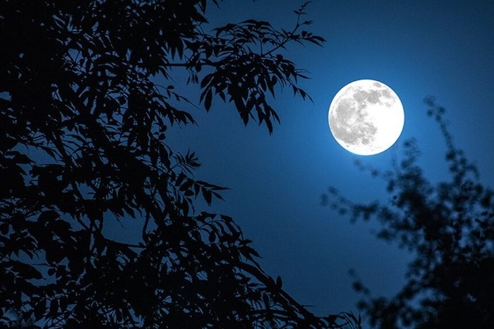 Tử vi 12 con giáp 27/11/2025, tử vi hôm nay, tử vi tuổi Ngọ, tử vi tuổi Mùi, dự báo 12 con giáp