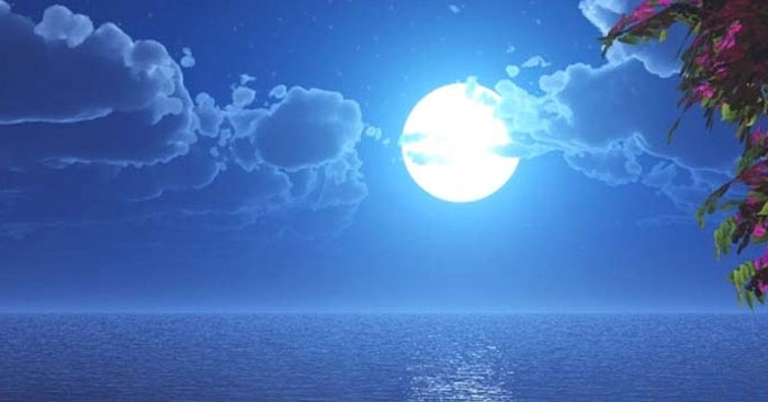 Tử vi 12 con giáp 27/11/2025, tử vi hôm nay, tử vi tuổi Ngọ, tử vi tuổi Mùi, dự báo 12 con giáp