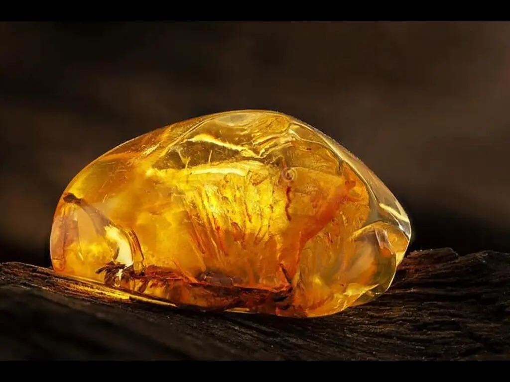 Con số may mắn tuổi Mùi 27/11/2025, thiên số tuổi Mùi hôm nay, phong thủy số tuổi Mùi, tử vi tuổi Mùi ngày 27/11, vận may tuổi Mùi