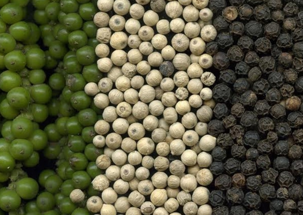 giá tiêu hôm nay, giá tiêu 28/11, giá tiêu tăng mạnh, giá tiêu Đắk Lắk, giá tiêu Đắk Nông, giá tiêu Bà Rịa – Vũng Tàu, giá tiêu Bình Phước, giá tiêu thế giới