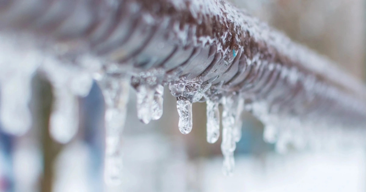 tử vi tháng 12/2025 tuổi Tý, tuổi Tý, vận hạn cuối năm, tài lộc, tình duyên, sức khỏe