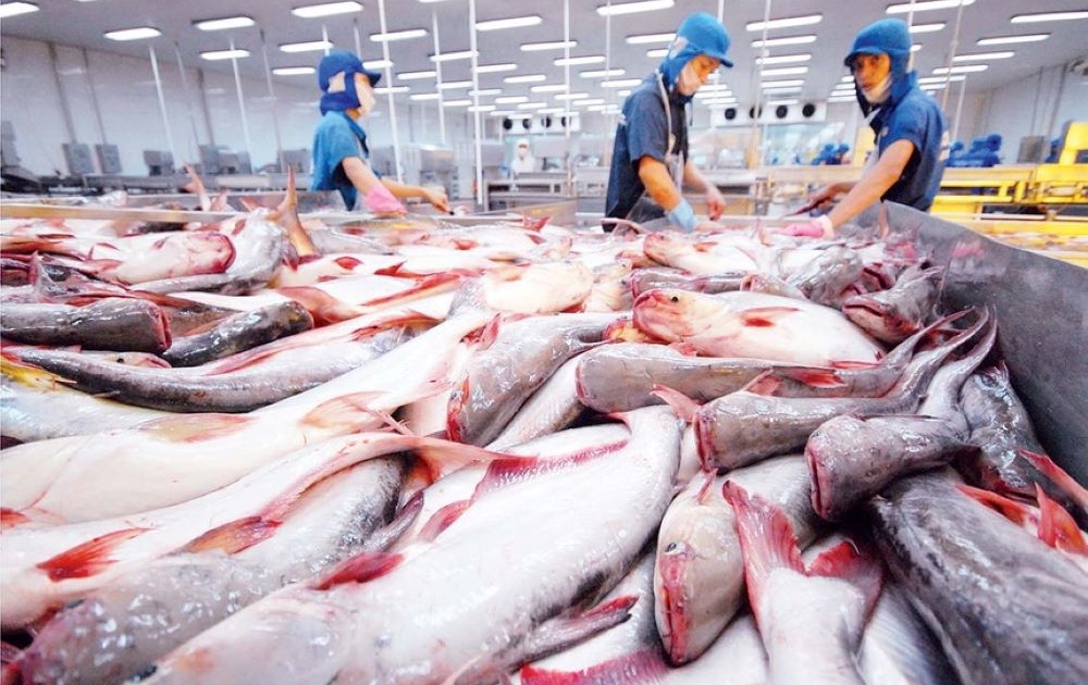 xuất khẩu thủy sản, VASEP, tôm Việt Nam, cá tra, thị trường Mỹ, thị trường Trung Quốc, CPTPP, thuế đối ứng Mỹ