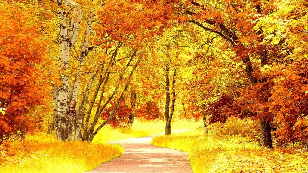 tử vi 12 cung hoàng đạo hôm nay, tử vi 3/12/2025, tử vi 12 chòm sao, dự đoán công việc, tình duyên, tài lộc