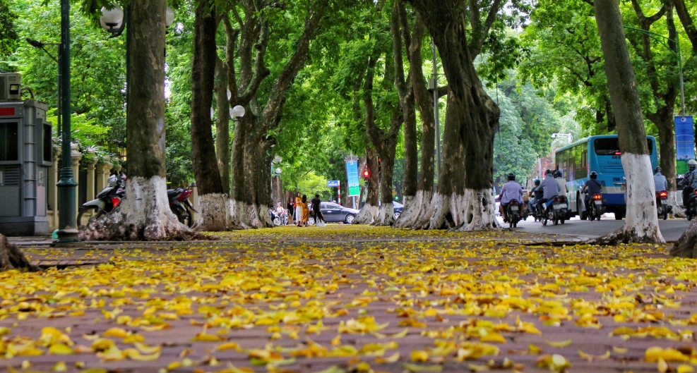 Tử vi 12 con giáp 3/12, tử vi 12 con giáp hôm nay 3/12, tử vi ngày 3/12, tử vi tuổi Tý, tử vi tuổi Dậu, vận trình công việc – tình duyên – tài lộc