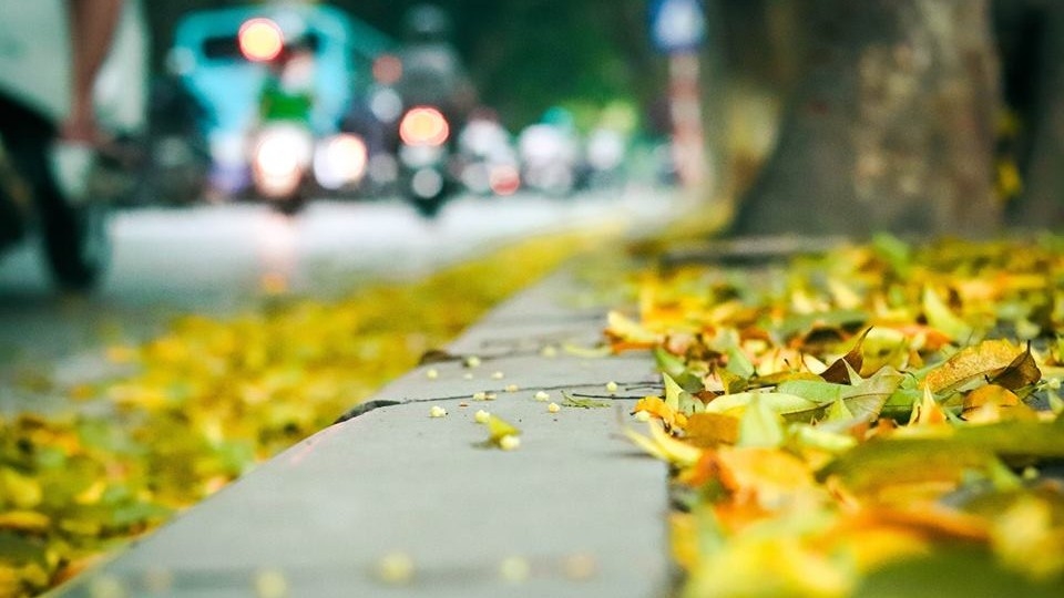 Tử vi 12 con giáp 3/12, tử vi 12 con giáp hôm nay 3/12, tử vi ngày 3/12, tử vi tuổi Tý, tử vi tuổi Dậu, vận trình công việc – tình duyên – tài lộc