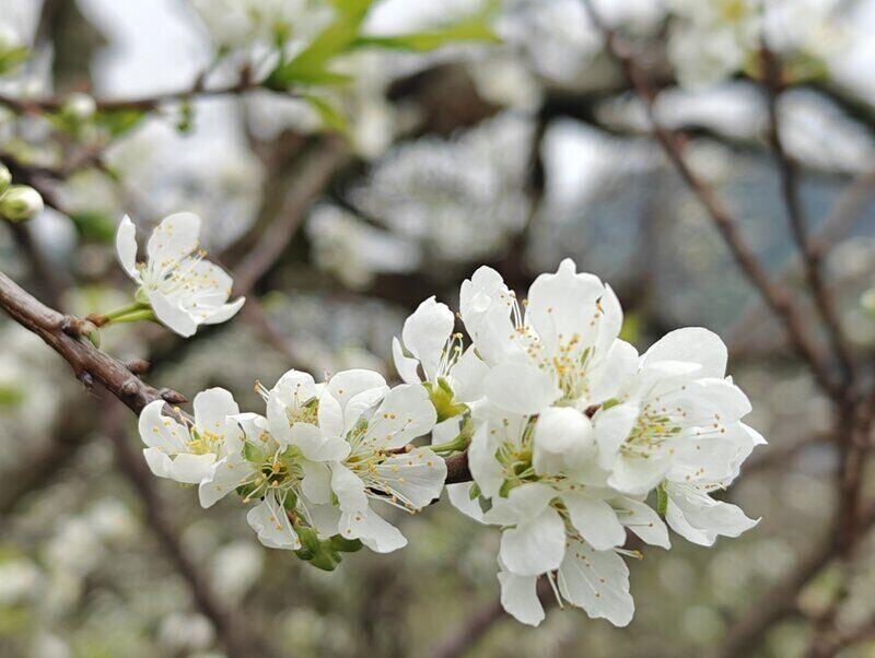 Tử vi 12 cung hoàng đạo 4/12/2025: Cảm xúc và vận may chuyển mình