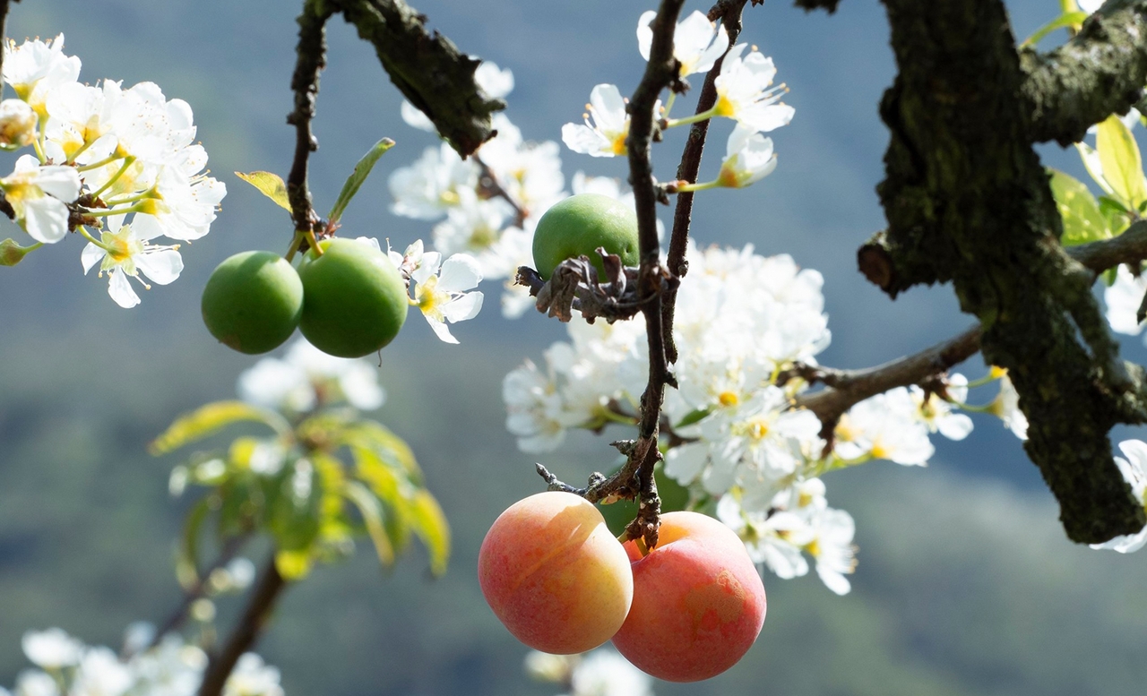 tử vi 12 cung hoàng đạo ngày 4/12/2025, tử vi hôm nay 4/12, dự đoán 12 chòm sao, vận may tình cảm, vận trình sự nghiệp