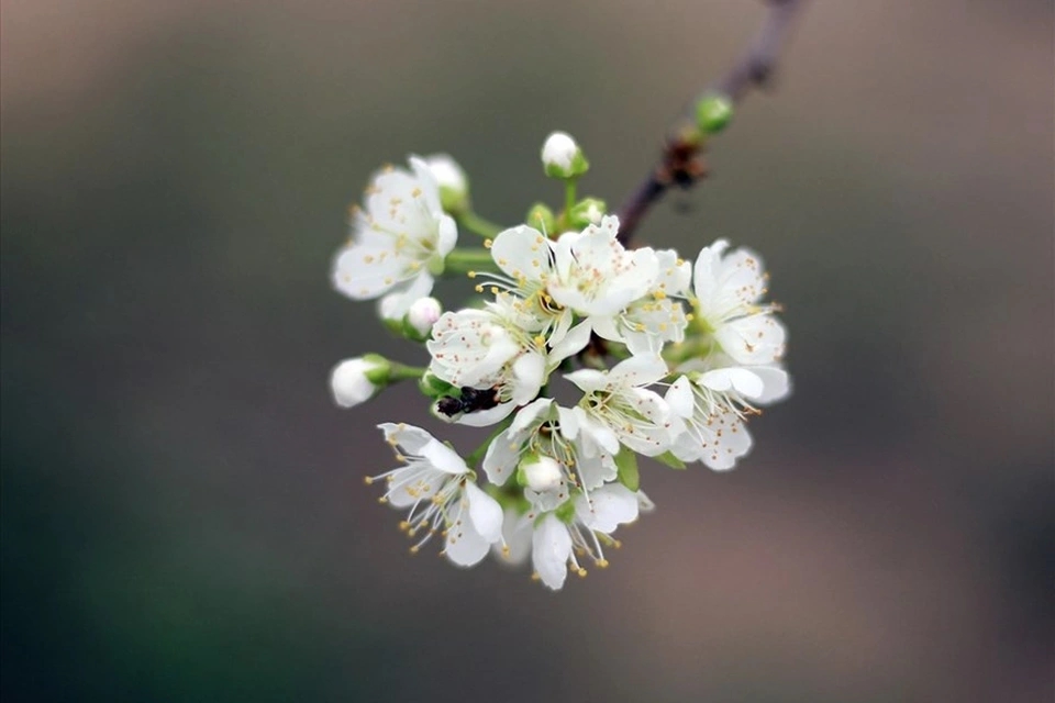 tử vi 12 cung hoàng đạo ngày 4/12/2025, tử vi hôm nay 4/12, dự đoán 12 chòm sao, vận may tình cảm, vận trình sự nghiệp