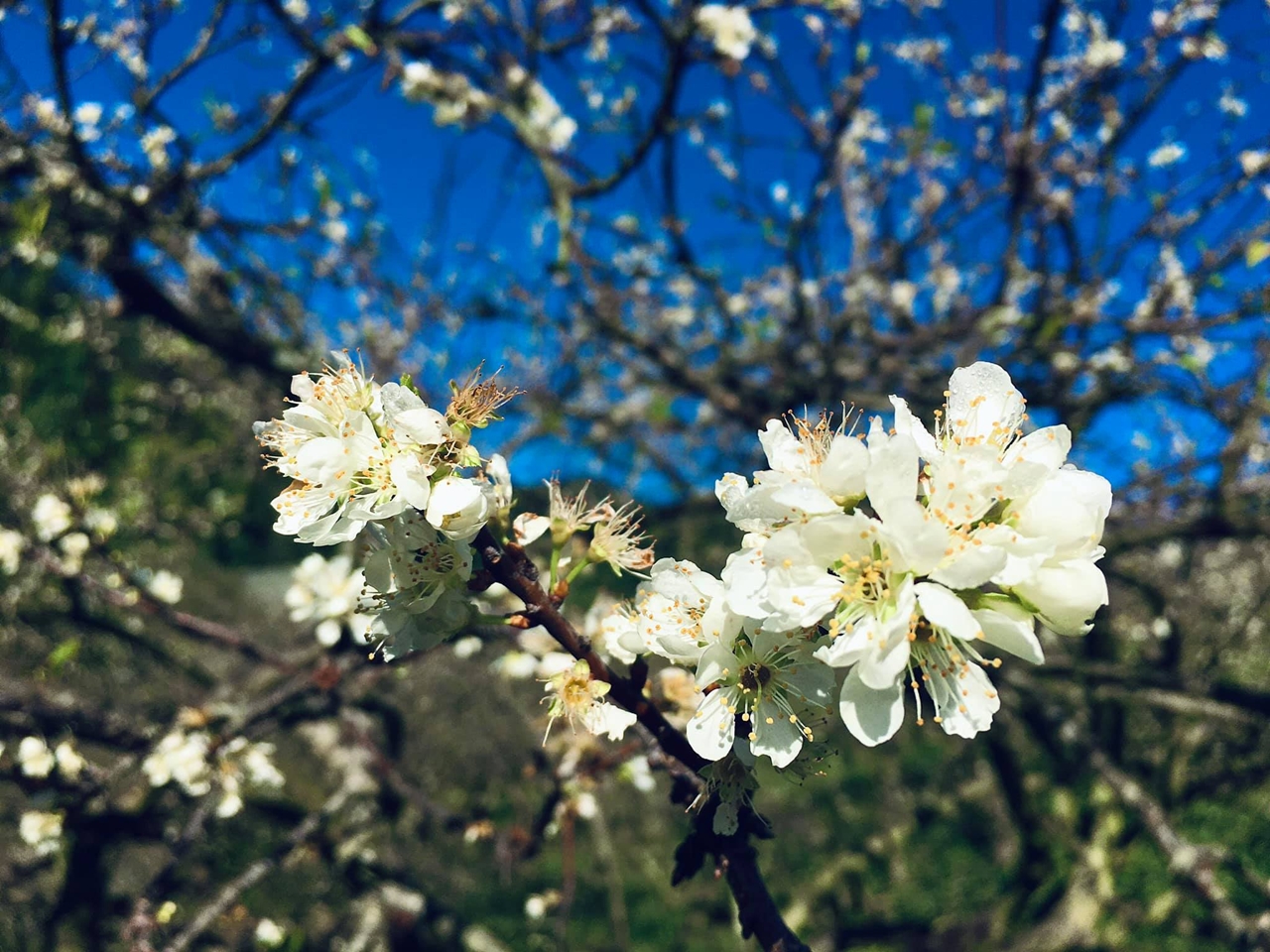 tử vi 12 cung hoàng đạo ngày 4/12/2025, tử vi hôm nay 4/12, dự đoán 12 chòm sao, vận may tình cảm, vận trình sự nghiệp