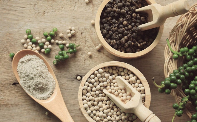 Giá tiêu 6/12/2025, Giá tiêu hôm nay 6/12, giá tiêu 2025, giá hồ tiêu, giá tiêu tăng, dự báo giá tiêu 2026, thị trường hồ tiêu Việt Nam