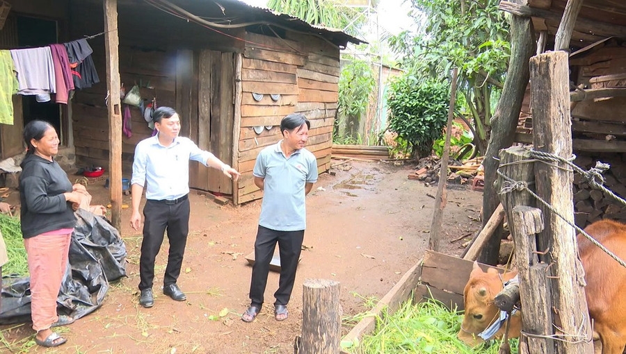 thiếu thú y cơ sở, Tây Gia Lai, dịch bệnh vật nuôi, chăn nuôi Gia Lai, viêm da nổi cục, IA Phí, Chư Sê, Phú Túc