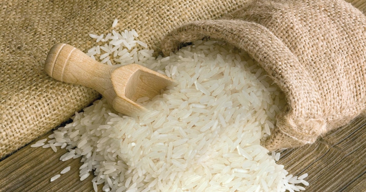 Giá gạo 7/12/2025, giá gạo hôm nay, giá gạo 7/12, giá lúa gạo, giá gạo trong nước, giá gạo xuất khẩu, Đồng bằng sông Cửu Long