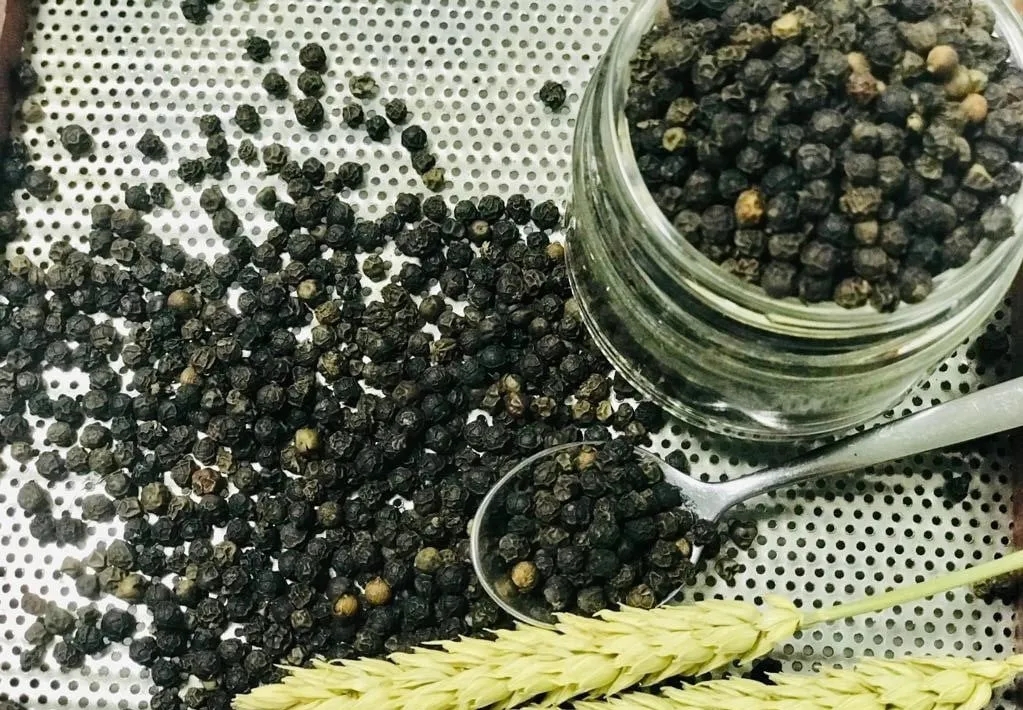 Giá tiêu 7/12/2025, Giá tiêu hôm nay 7/12, giá tiêu mới nhất, giá tiêu Tây Nguyên, giá tiêu Đông Nam Bộ, thị trường hồ tiêu