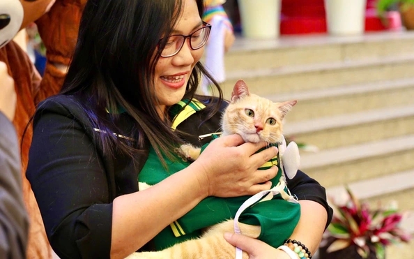 ảnh mèo Mika, idol Mika, Thảo Cầm Viên, ảnh Mika đẹp