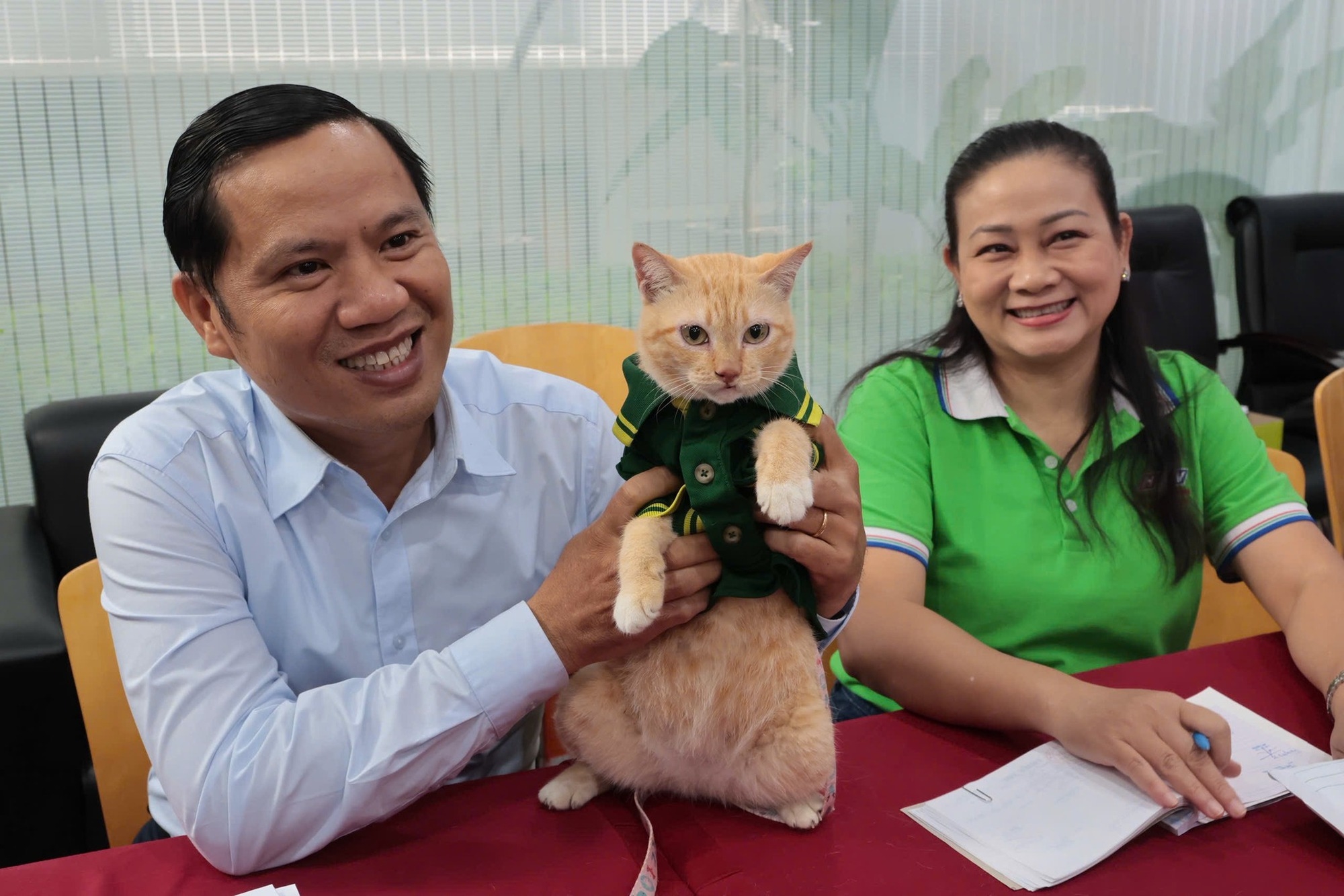 ảnh mèo Mika, idol Mika, Thảo Cầm Viên, ảnh Mika đẹp