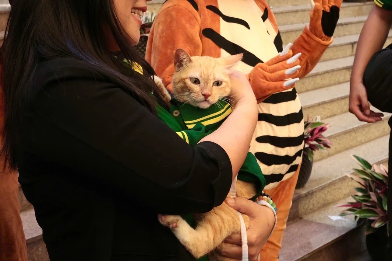 fan meeting Mika, Thảo Cầm Viên, mèo Mika, idol Zoobiz, sự kiện động vật