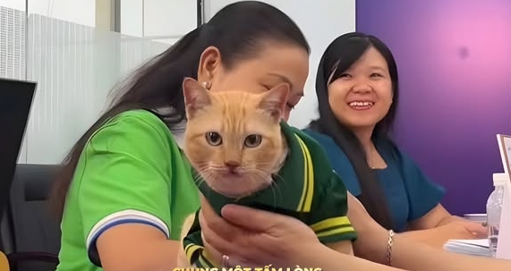 Fan meeting “chủ tịch” mèo Mika khiến Thảo Cầm Viên bùng nổ