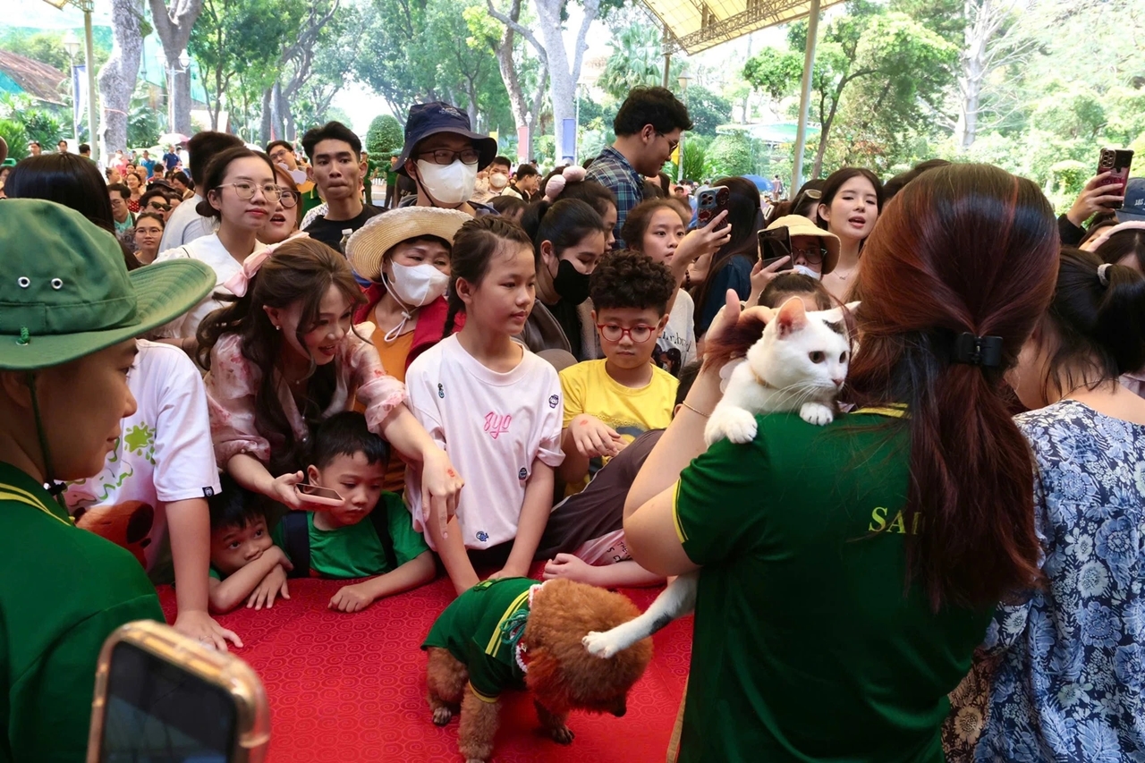 fan meeting Mika, Thảo Cầm Viên, mèo Mika, idol Zoobiz, sự kiện động vật