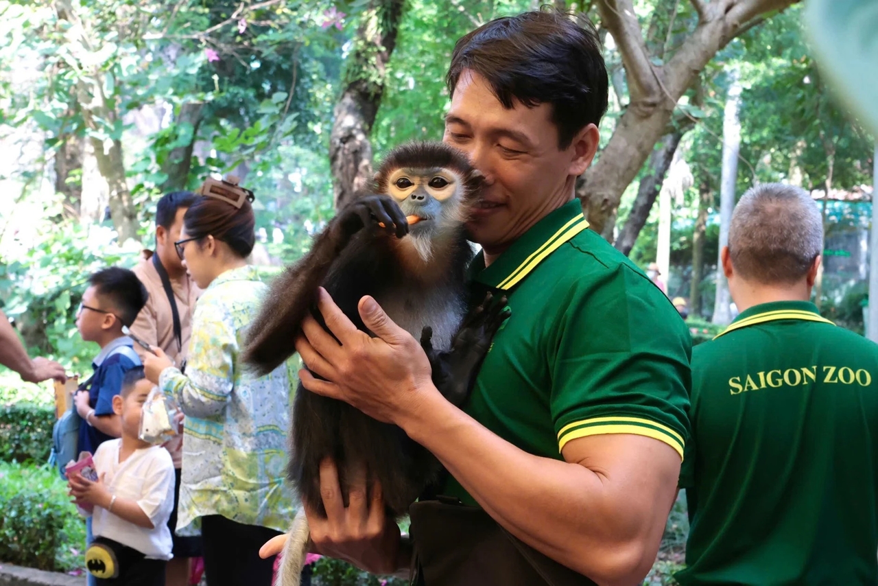 fan meeting Mika, Thảo Cầm Viên, mèo Mika, idol Zoobiz, sự kiện động vật