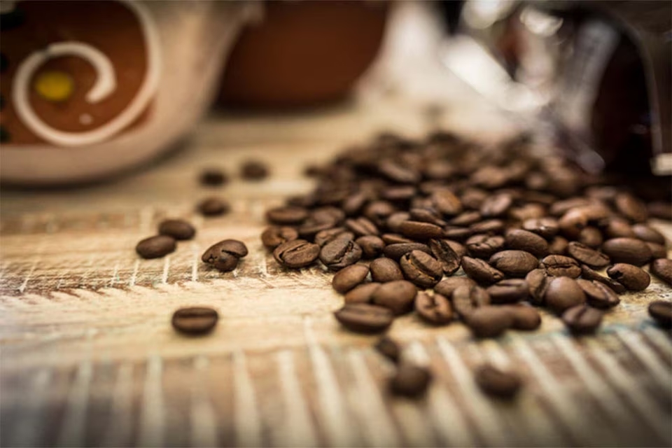 Giá cà phê 7/12/2025, Giá cà phê hôm nay 7/12, giá cà phê mới nhất, giá cà phê Tây Nguyên, giá cà phê Robusta, xuất khẩu cà phê chế biến