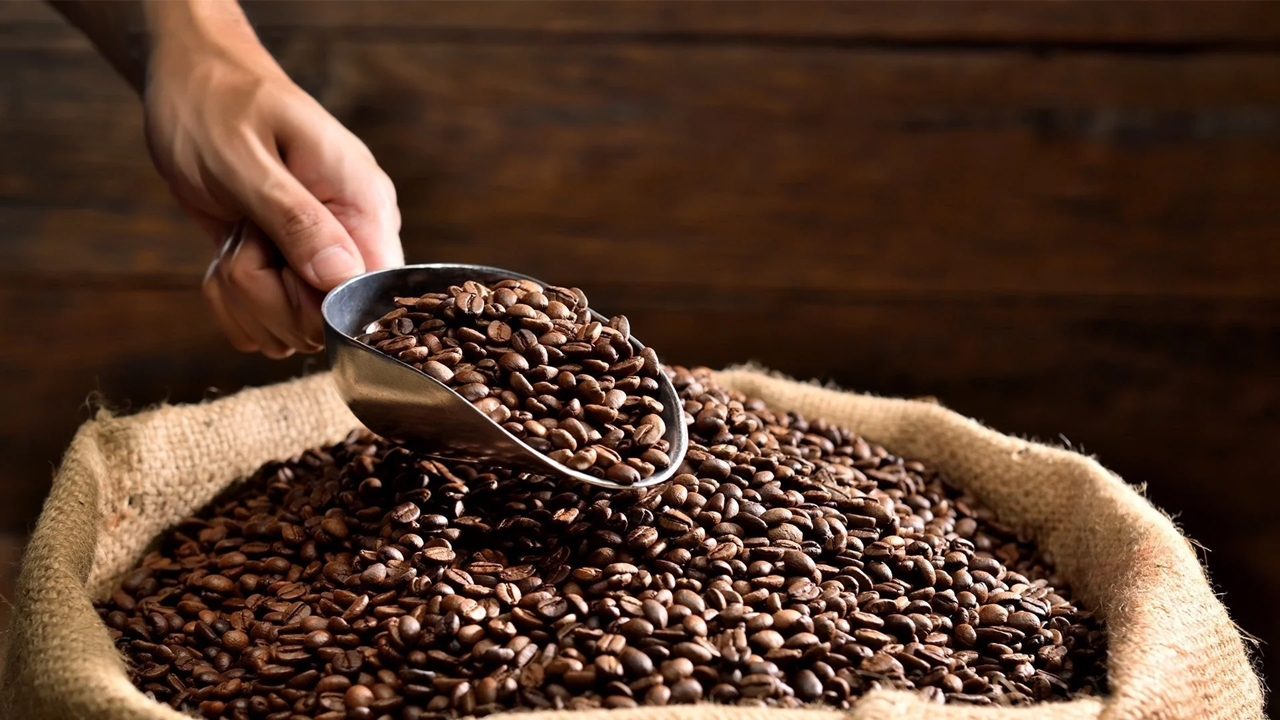 Giá cà phê 9/12/2025: Thị trường giảm sâu