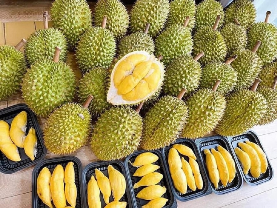 giá sầu riêng Ri6, giá sầu riêng Monthong, giá sầu riêng nghịch vụ, xuất khẩu sầu riêng Trung Quốc, giá sầu riêng miền Tây