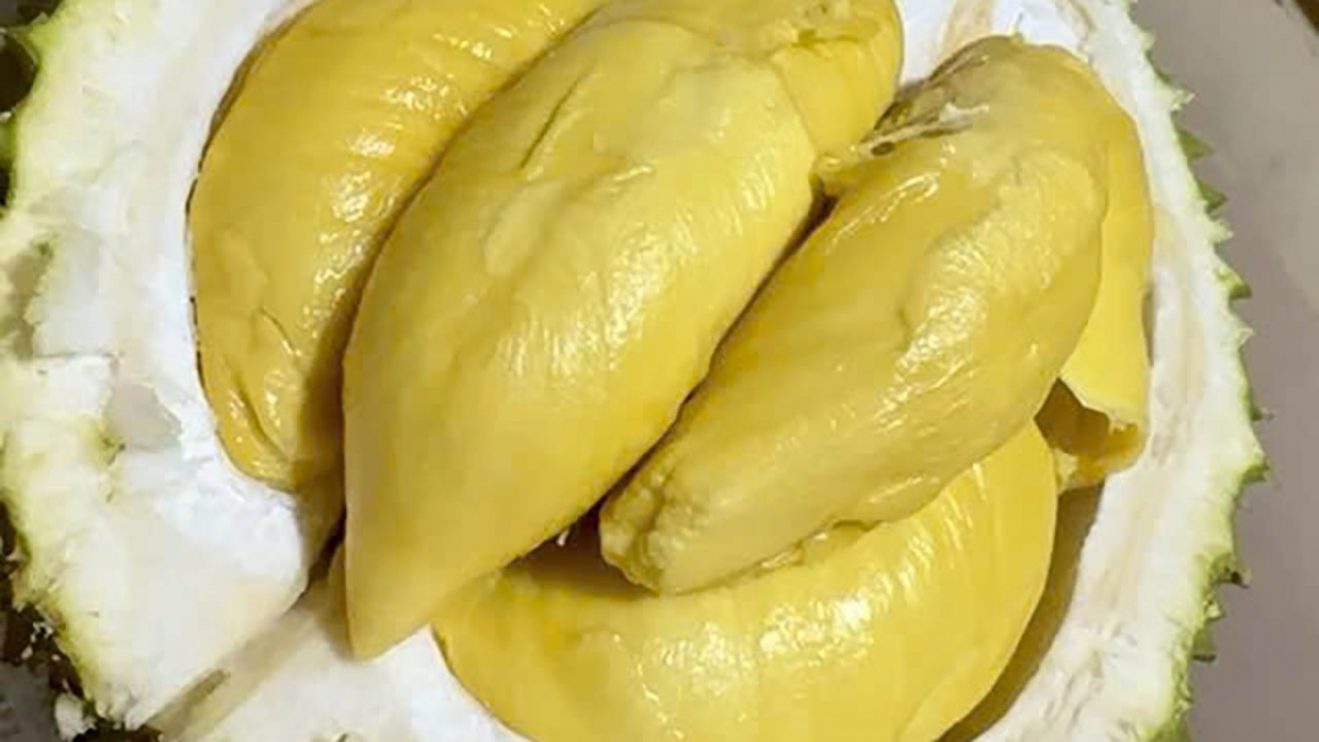 giá sầu riêng Ri6, giá sầu riêng Monthong, giá sầu riêng nghịch vụ, xuất khẩu sầu riêng Trung Quốc, giá sầu riêng miền Tây