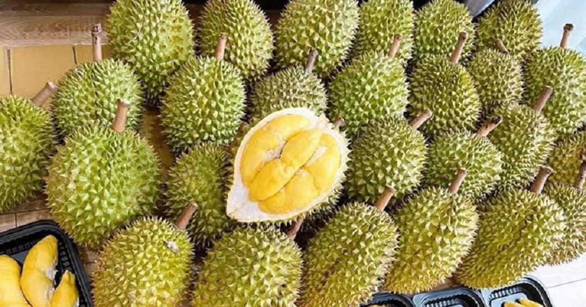 giá sầu riêng hôm nay, giá sầu riêng 10/12, giá sầu riêng RI6, giá sầu riêng Thái, vụ nghịch Đồng Tháp