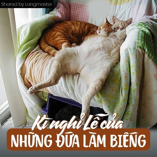 Làm gì 4 ngày nghỉ Tết Dương lịch nếu quá lười?