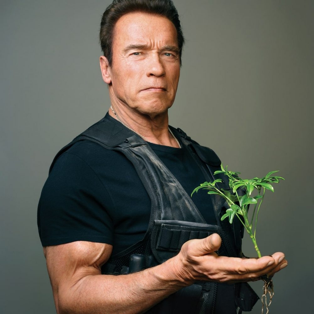Bản lĩnh của Arnold Schwarzenegger sau đổ vỡ 2 Bản lĩnh của Arnold Schwarzenegger sau đổ vỡ