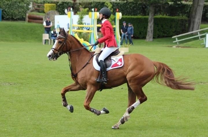 Top 10 con ngựa đắt nhất thế giới 6 Top 10 con ngựa đắt nhất thế giới