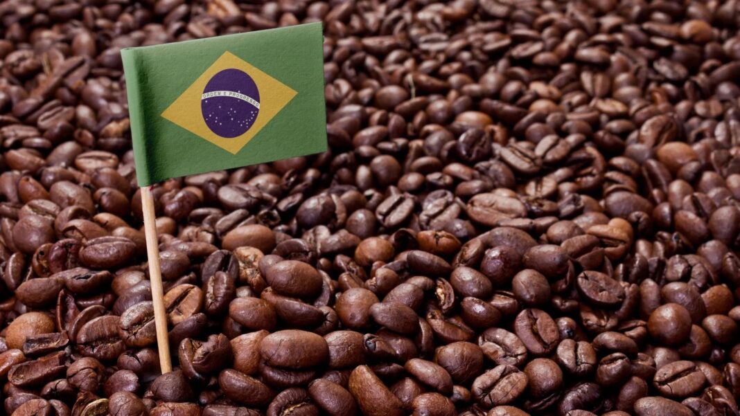 Vì sao Brazil vẫn là vua xuất khẩu cà phê?