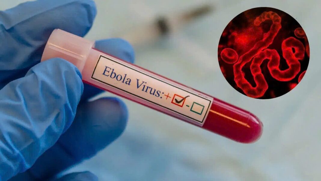 WHO phát cảnh báo khẩn cấp vì Ebola: vì sao thế giới vẫn sợ căn bệnh này đến vậy?