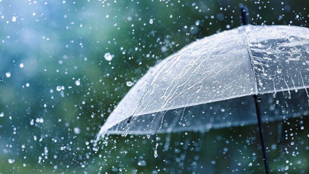 Vì sao trời mưa luôn khiến người ta muốn sống chậm lại?