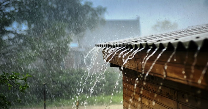 Những thói quen kỳ lạ chỉ xuất hiện khi trời mưa
