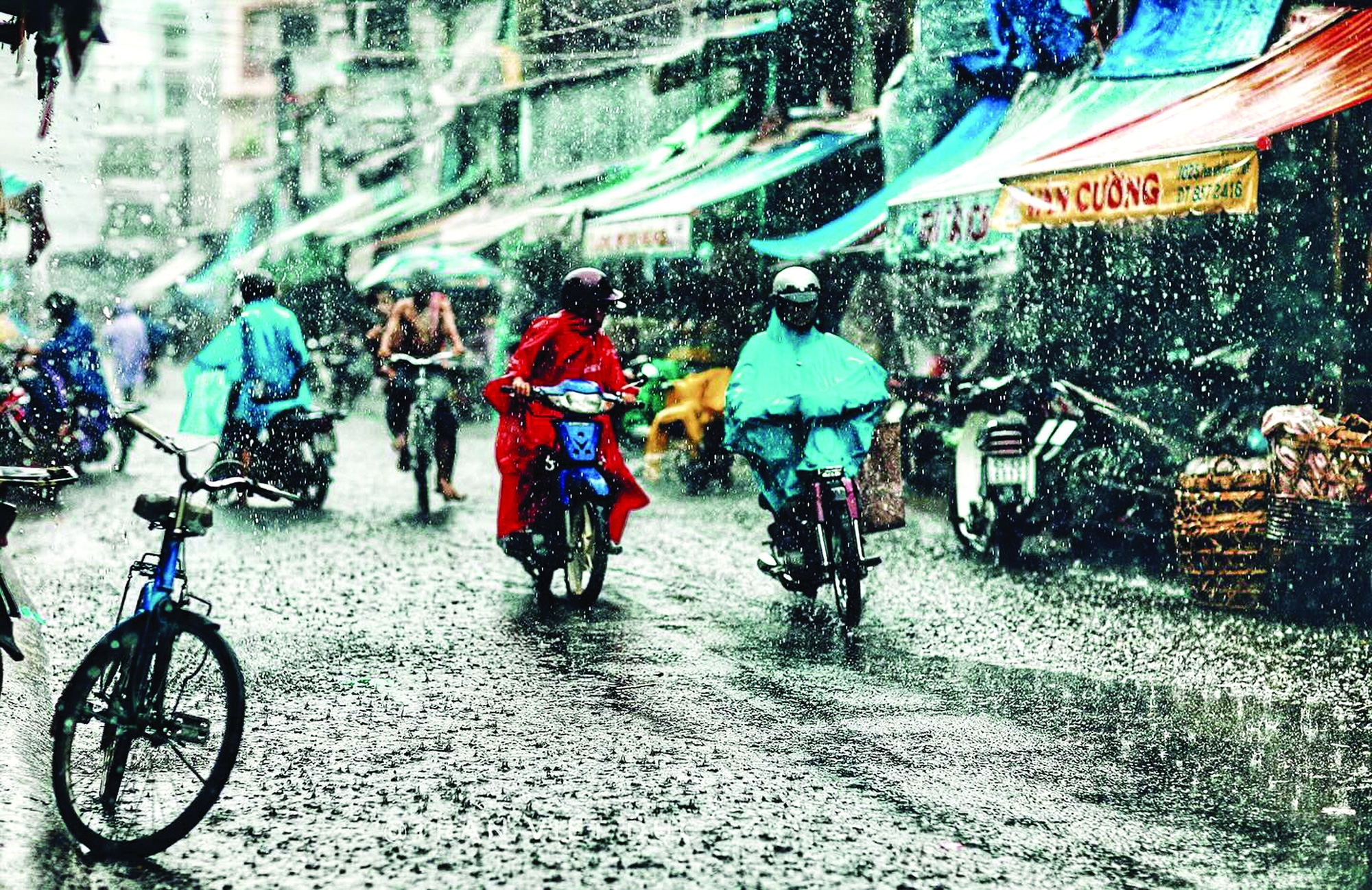 Sài Gòn vào mùa mưa và thứ gì đó trong lòng người cũng đợi mưa